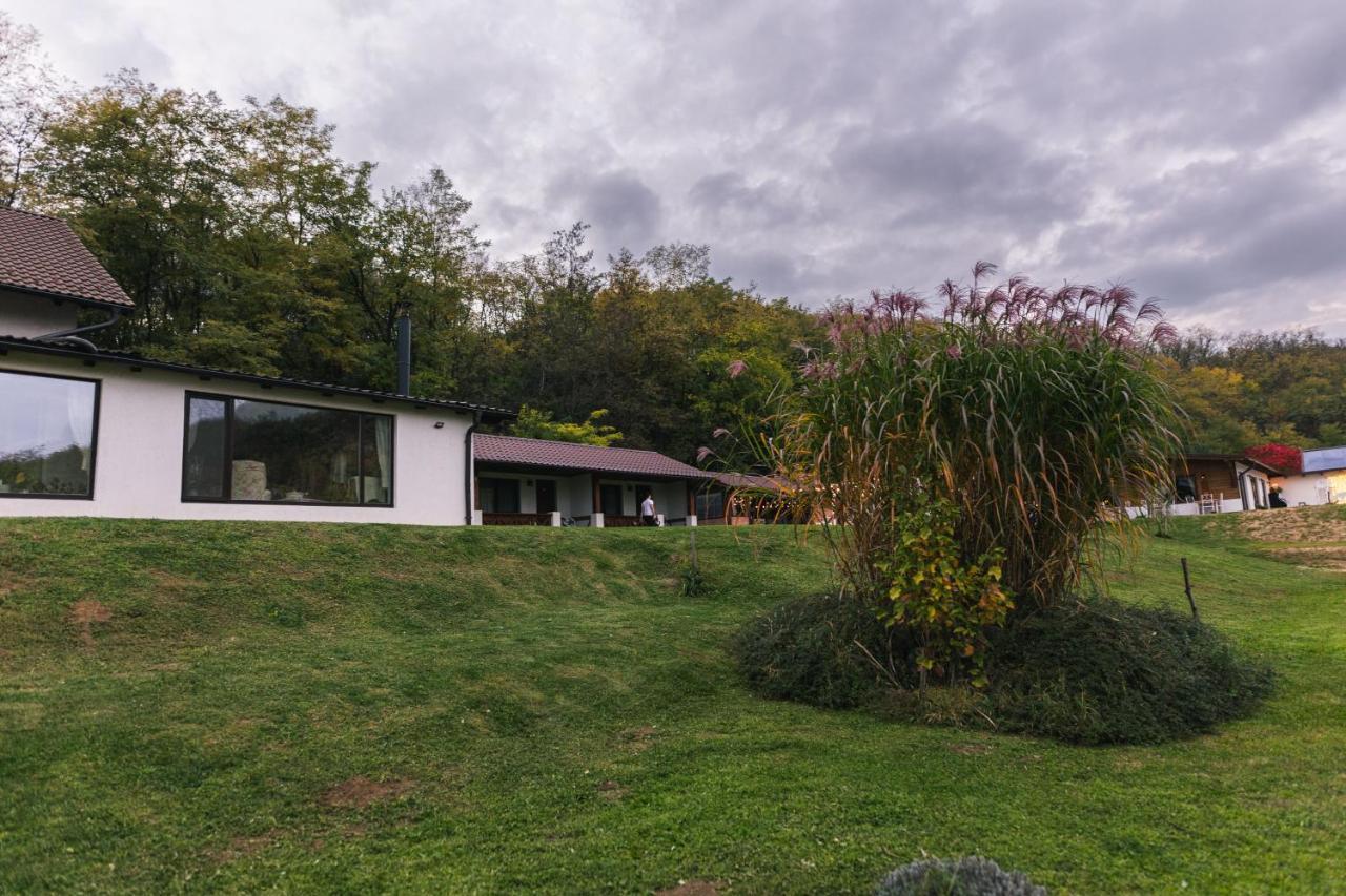 Casa Tirol Blaj 호텔 외부 사진